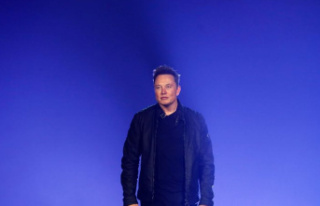 Electric car manufacturer: Tesla boss Musk presents...