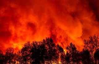 Fires: EU Commission: 170 million euros for forest...