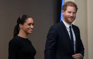 Prince Harry and Duchess Meghan: This is known about...