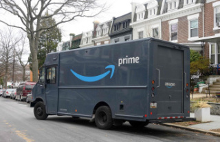 USA: Amazon parcel deliverer found dead in garden...