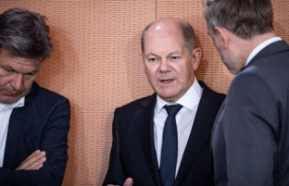 Energy crisis: Scholz confident about agreement in...