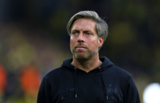 VfB Stuttgart: Michael Wimmer will remain head coach...