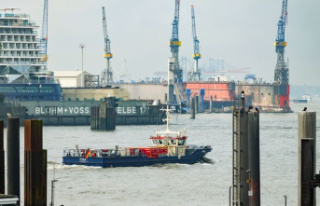 Liquid gas: Hamburg does not want a large LNG terminal...