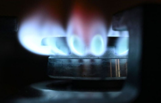 Energy: EU Commission proposes gas price cap in EU...