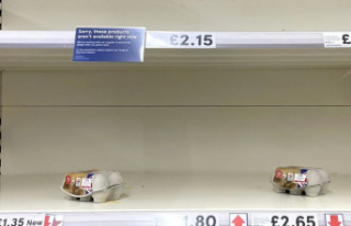 Avian flu: UK is running out of eggs
