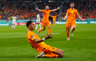 Football World Cup in Qatar: Who is showing the Netherlands...