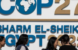 Egypt: Fight against climate change: COP27 consultations...
