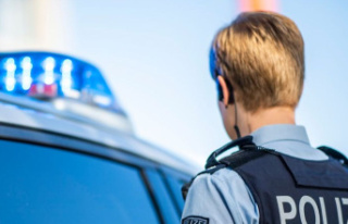 Frankenthal: Police tasers man for grabbing a pistol
