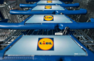 Preliminary proceedings: Investigations against Lidl...