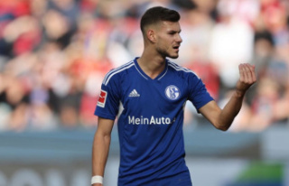 Krauss on Schalke's new "hunter role".