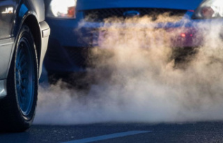 Euro 7 emissions standard: the EU wants to protect...