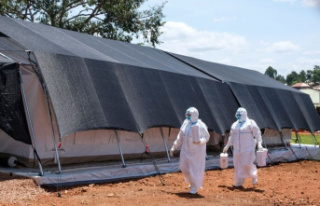 Diseases: Uganda: Ebola death toll continues to rise