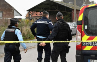 France: Tax officer stabbed to death during tax audit