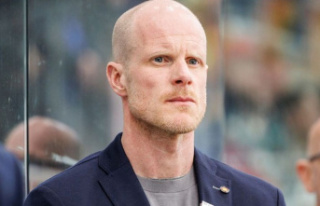 Ice hockey: national coach Söderholm leaves the DEB...