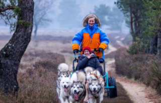 Leisure: With dog sleds through the heath