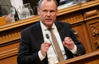 Criticism: Hamburg's interior senator Grote:...