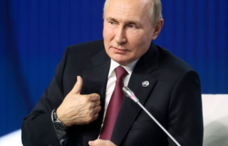 G20 summit in Bali: Indonesia's government: Putin...