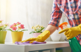 Household tips: Dusting again? How to save time (and...