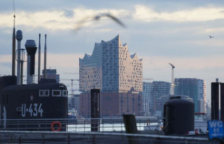 Society: Climate activists are stuck in the Elbphilharmonie