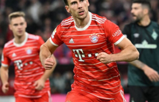 14th match day: Strong Bayern take victory after victory...