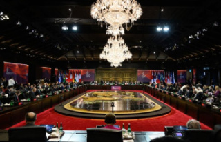 Summit in Bali: G20 countries adopt summit declaration