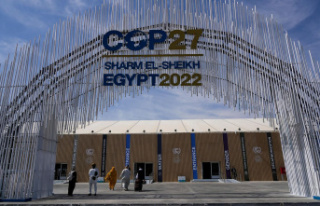 COP27 in Egypt: More ambition, more money, more solidarity:...