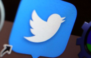 Twitter: New subscription regulation leads to fake...
