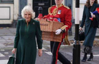 British royal family: A good 1000 Paddington bears...