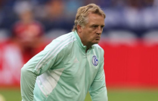 "Schalke stop": Büskens about unrest about...