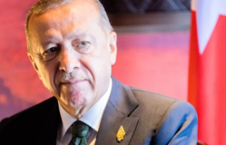 Conflicts: Erdogan is considering ground offensives...