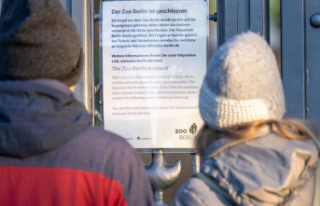 Diseases: Waterfowl with bird flu: Berlin Zoo closed