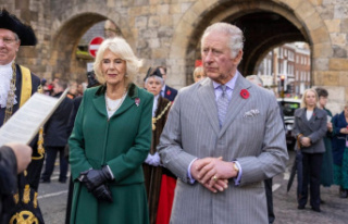 King Charles III and Queen Consort Camilla: Activist...