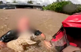 Australia: Dramatic scenes: residents saved from floods...