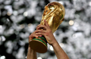 Google World Cup Search Trends: These are the most...
