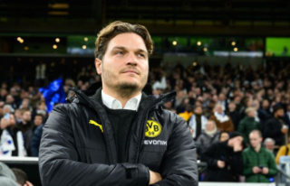 Despite the justified criticism: why BVB must also...