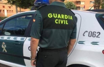 Two people specialized in robberies in commercial establishments in Madrid arrested