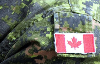 Still little diversity in the Canadian army, according to the ombudsman