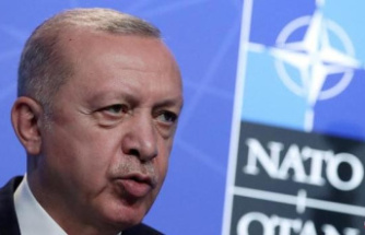 Why is Turkey opposed to Finland and Sweden joining NATO?