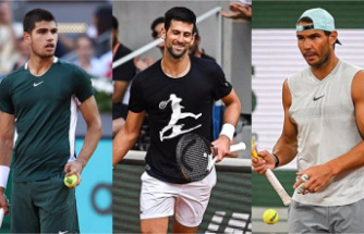Nadal, Alcaraz and Djokovic, three musketeers in search of their Cup