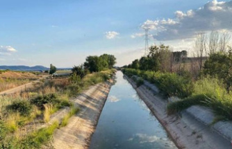 They find the body of a woman floating in the Canal del Henares, in Cabanillas del Campo