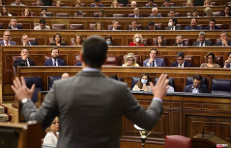 Pedro Sánchez faces questions in Congress about Pegasus and the relationship with its partners in the