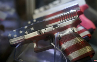 United States: with more than 139 million firearms intended for trade, this market has exploded in 20 years