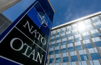 What is NATO and what is this organization for?
