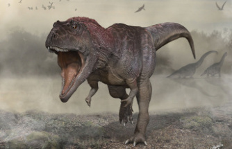 Paleontologists Discover New Dinosaur with Tiny Arms Like T. Rex