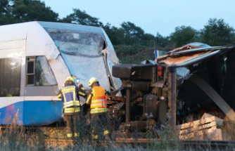 Accidents: truck collides with train on Usedom - injured