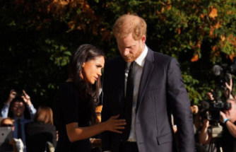 Prince Harry and Duchess Meghan: They're going down on the Royal website