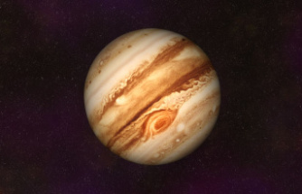 Astronomy: Impressive spectacle: Jupiter is currently closer to Earth than it has been in decades