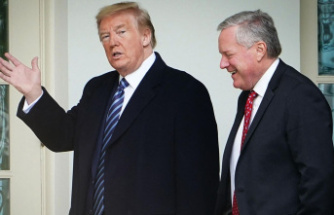 6 January Committee: What Did Mark Meadows Know and Text? The US looks at Donald Trump's right hand