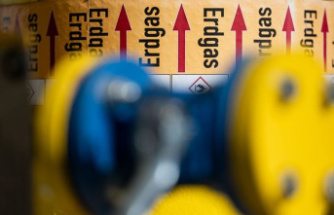 Energy: European natural gas price rises towards 200 euros