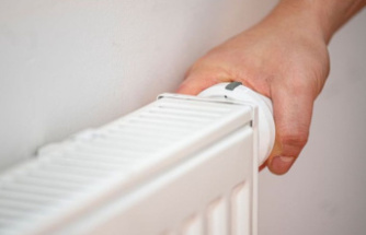 Energy crisis: Heating is becoming significantly more expensive - wood is also affected